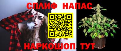 спиды Бийск