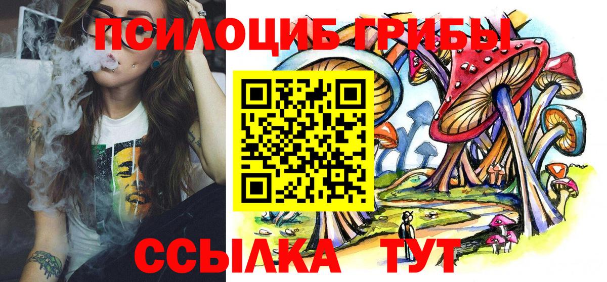 Псилоцибиновые грибы прущие грибы Губкин