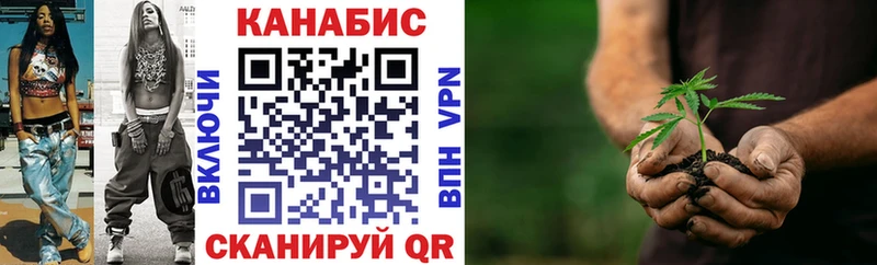 Конопля индика  наркошоп  Губкин 